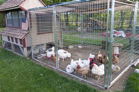 9 *Must Have* Chicken Coop Accessories - ChickenCoopGuides.com