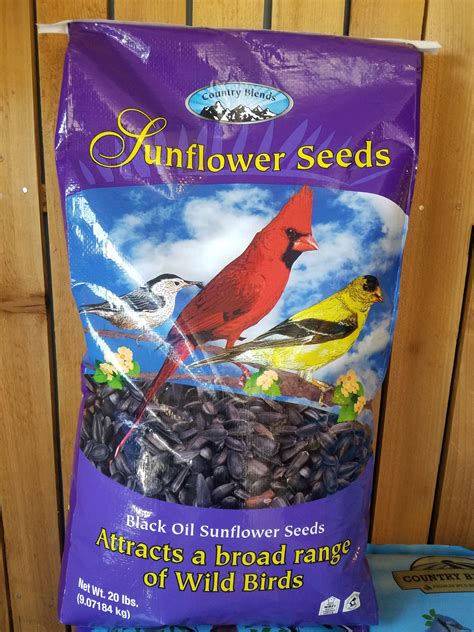 Black Oil Sunflower - Front Range Birding Company