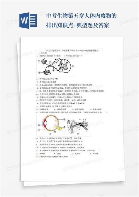 中考生物第五章人体内废物的排出知识点 典型题及答案word模板下载编号qbebawam熊猫办公