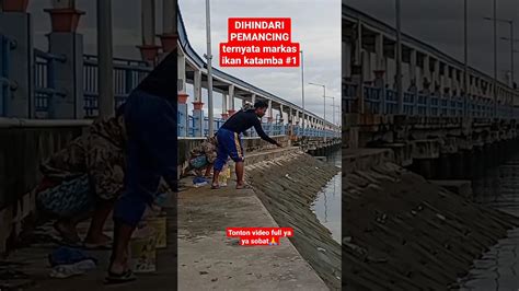 Mancing Ikan Katamba Di Pelabuhan Ferry Kolaka Kolaka Katamba