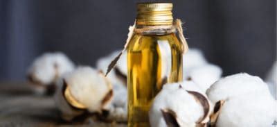 Is Cottonseed Oil Good or Bad for You? Uses, Dangers, Benefits - Dr. Axe