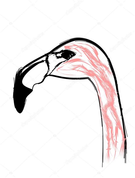 Flamingo Vogel Gestileerd Als Potlood Tekenen — Stockvector © Oxanka