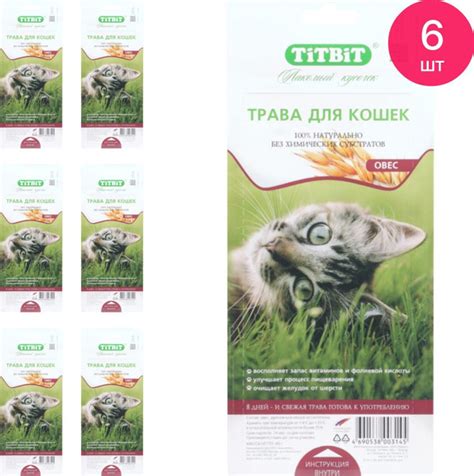 Титбит Трава д/кошек (комплект из 6 шт) - купить с доставкой по ...