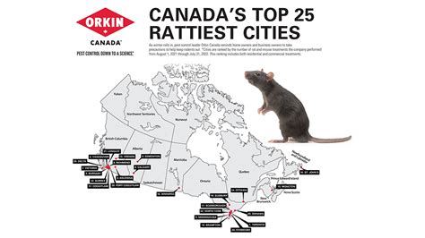 Orkin Names Canadas Rattiest Cities Pest Control Technology