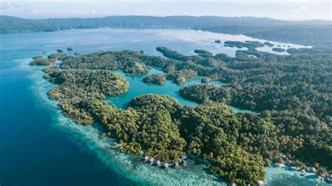 Methos Homestay Menikmati Keindahan Raja Ampat Dengan Fasilitas