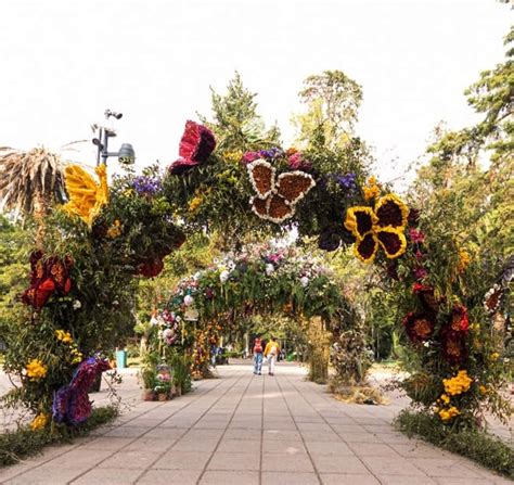 Festival De Flores Y Jardines 2022 Te Decimos Todo Lo Que Debes Saber