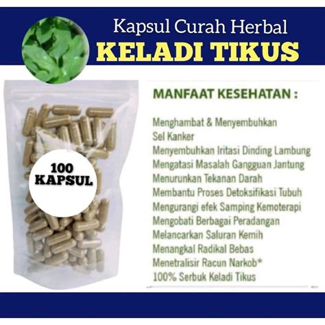 Jual Keladi Tikus Isi Kapsul Curah Herbal Shopee Indonesia