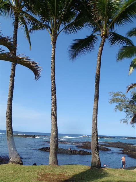 25 Best Things To Do In Hilo, Hawaii 2022 - Mike & Laura Travel