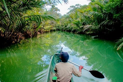 Ujung Kulon National Park - Nature Tourism in West Java