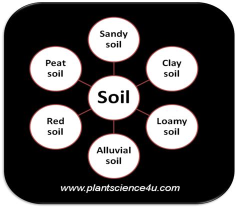 Soil Types: Sandy soil, Clay soil, Loamy soil, Alluvial soil, Red soil ...