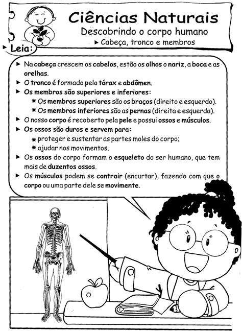 ATIVIDADES CORPO HUMANO 3 4 5 6 ANOS EXERCÍCIOS CIÊNCIAS PARA