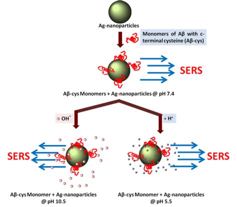 monomer structure