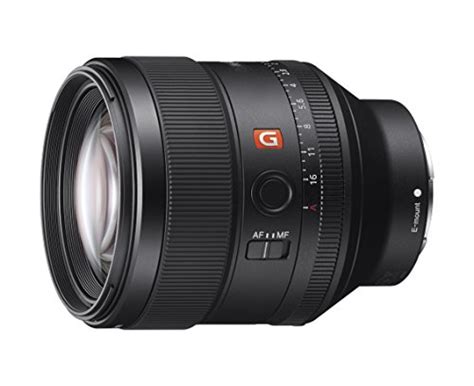 Best Lenses For Sony Cameras In 2021 Pixobo Profitable Photography