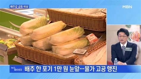 Mbn 뉴스파이터 김치 아니라 금치배추값 한 달 새 40 상승 네이트 뉴스