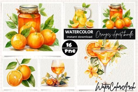 Oranges Bundle Watercolor Sublimation Graphic By WaterColorArch