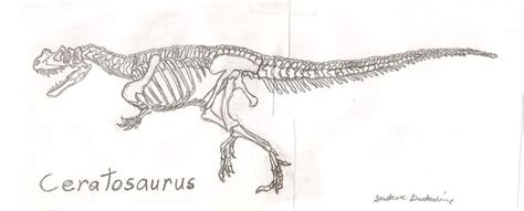 Ceratosaurus Skeleton by Gustauve-Drakenhime on Newgrounds