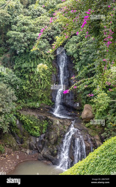 Layana Waterfall In Ubud Gianyar Bali Indonesia Vertical Image