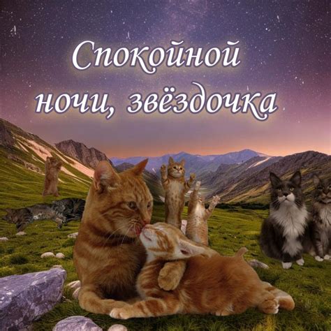 Спокойной ночи | Котята, Милые котики, Спокойной ночи
