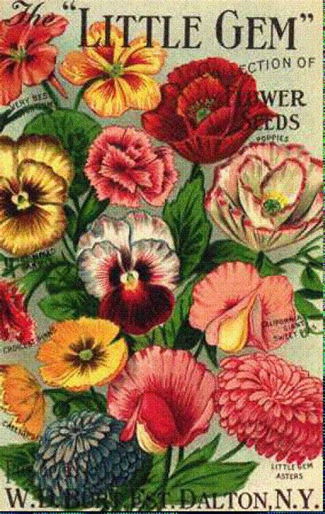 5476 best Vintage Seed Packets and Catalogs images on Pinterest ...