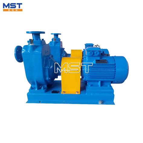 Cast Iron Electric Motor 6 Inch Horizontal Centrifugal Self Priming Water Pump China Self