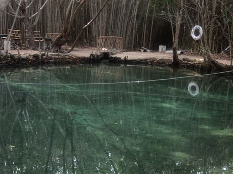 Parque Ecol Gico El Corchito Lugar De Tranquilidad Y Sosiego