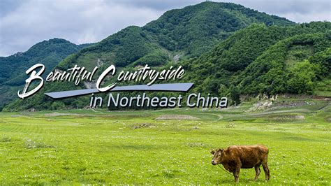 Finding beautiful countryside in NE China - CGTN