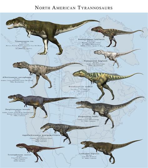 North American Tyrannosaurs By Paleoguy On Deviantart Prehistoric