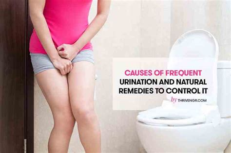 Causes Of Frequent Urination And The Natural Remedies