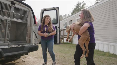 Shelter Transfer At SPCA Wake Interagency Collaboration To Save