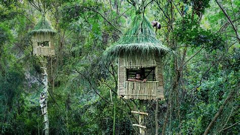 Unbelievable Build Unique Primitive Tree House Staying In A Treehouse Hotel In The Jungle