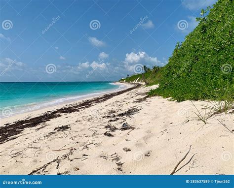 Tropical Blue Water At The Beach In Hope Town Elbow Cay Bahamas Stock Image Image Of Coast