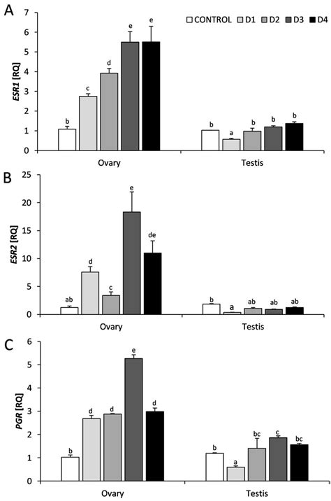 The mRNA expression of genes encoding estrogen receptors α ESR1 A