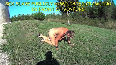 Sex Slave Suzi On All Fours XNXX