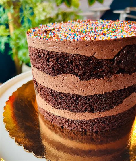 Chocolate Cake With Rainbow Sprinkles