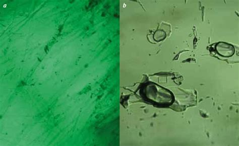 Inclusions As A Diagnostic Tool In Emerald A Characteristic