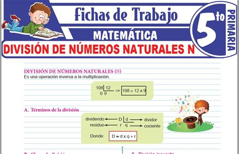 Divisiones Para Quinto Grado