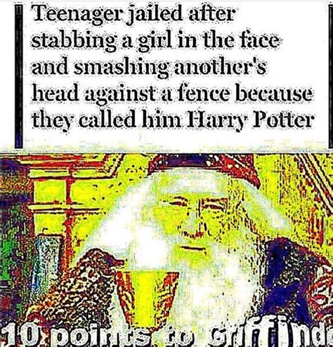 Youre a wizard harry - Meme Guy