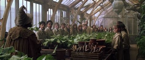 Herbology Classroom Harry Potter Wiki Fandom Hogwarts Harry