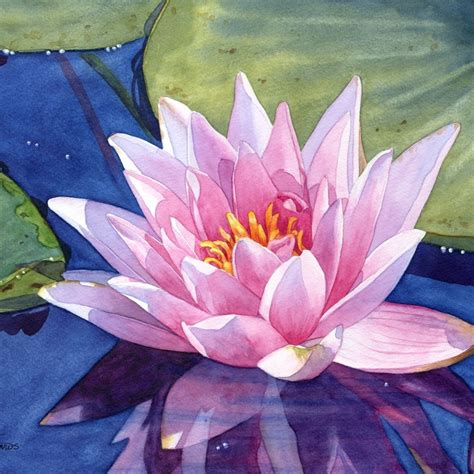 Lily Painting Watercolor