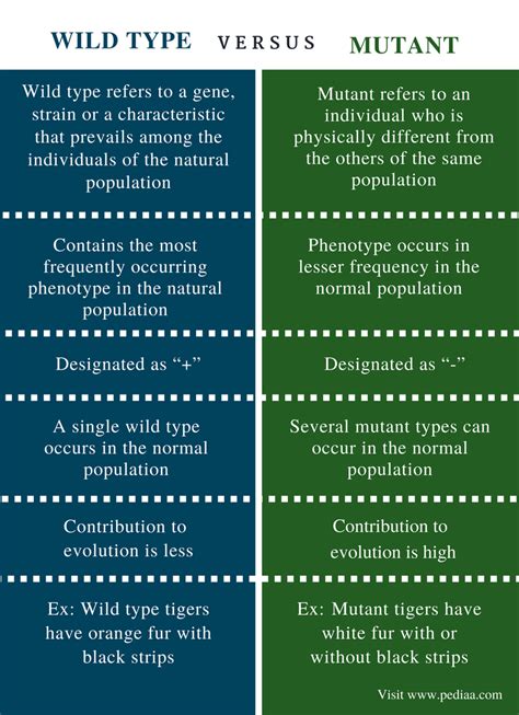 Difference Between Wild Type And Mutant Definition Characteristics