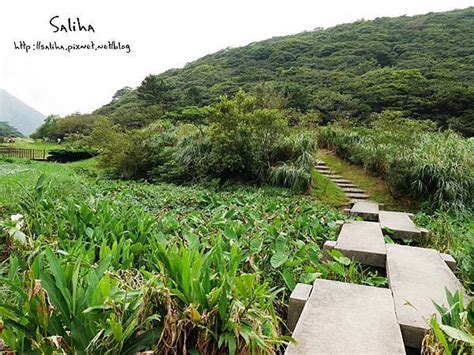 台北一日遊地點推薦二子坪步道~陽明山踏青好去處有山有水路超好走適合一家老小來玩樂－莎莉哈小姐｜痞客邦