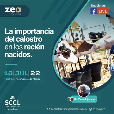 La Importancia Del Calostro En Los Recien Nacidos Zea Dairy Consulting