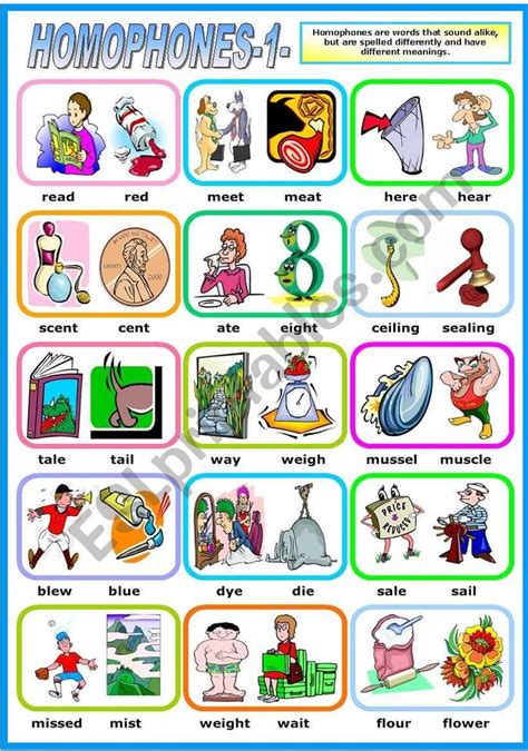 Homophones Part One Pictionary B W Version Included Esl