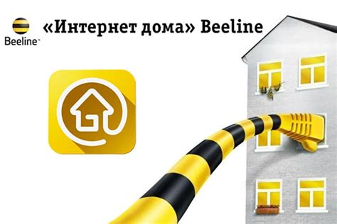 Beeline Интернет Дома - installmission