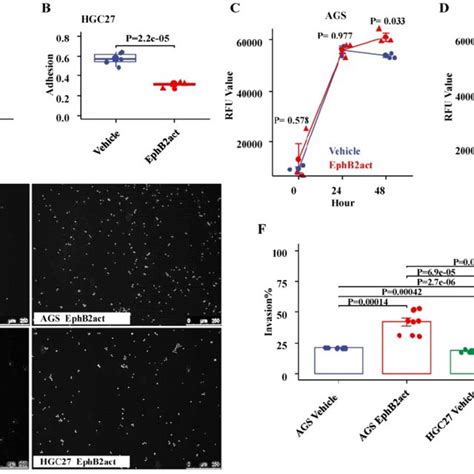 Effect Of Ephb Activation On The Migration Of Gc Cells A And B