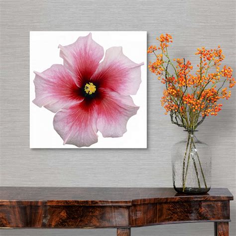 Pink Hibiscus Flower Wall Art Canvas Prints Framed Prints Wall Peels Great Big Canvas