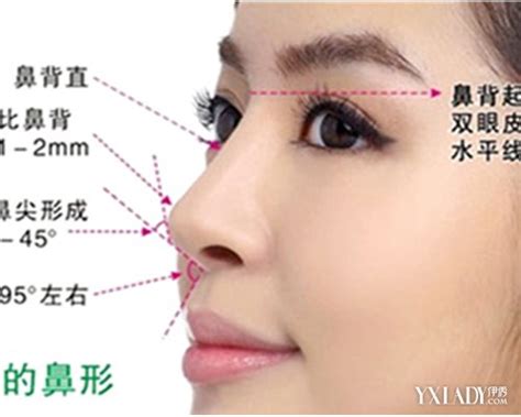 图中国人的鼻子类型 教你怎么看鼻子辨种族 中国人的鼻子类型 伊秀美容网 yxlady