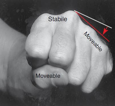 PT 605 Hand Biomechanics Flashcards Quizlet