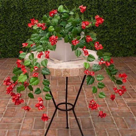 Chuxay Garden Red Bougainvillea Flower Seed 10 Seeds