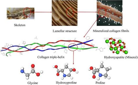 Fig 4 [image] Eurekalert Science News Releases